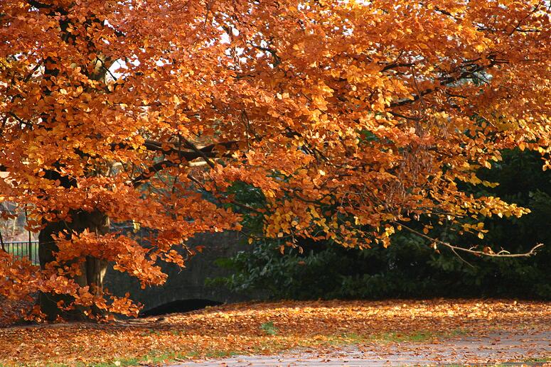 Stadspark Turnhout