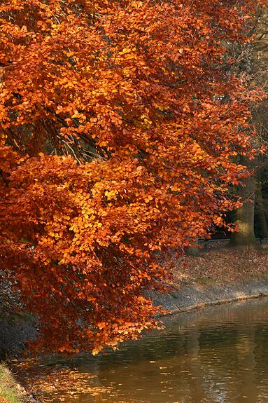 Stadspark Turnhout