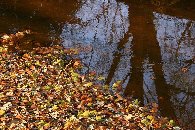 Stadspark Turnhout
