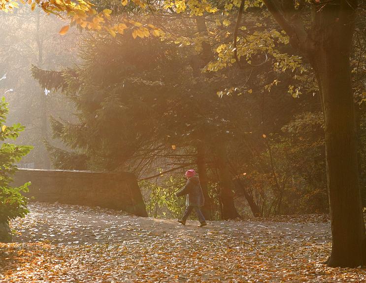 Stadspark Turnhout
