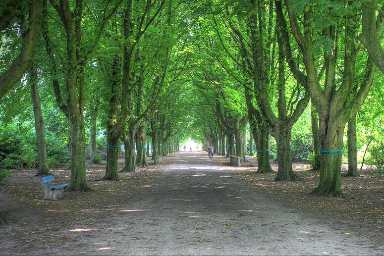 Stadspark Turnhout