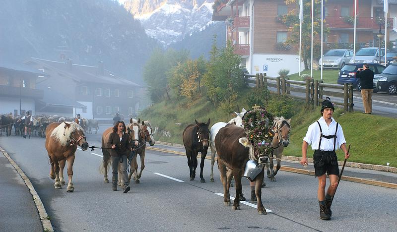 Kleinwalsertal 2007 - Viehscheid am 19.9.2007