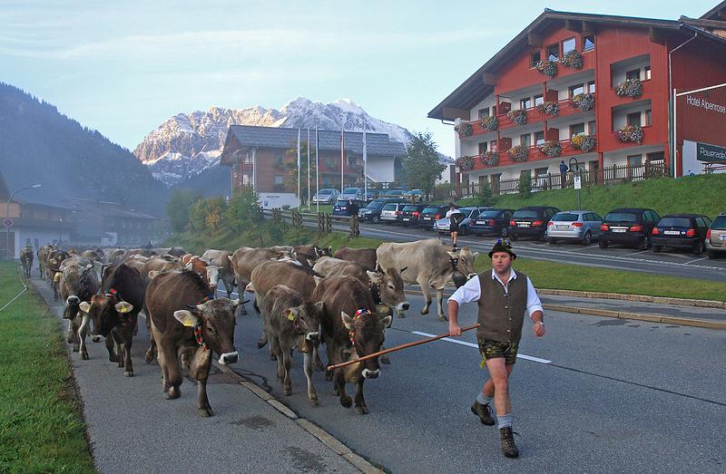 Kleinwalsertal 2007 - Viehscheid am 19.9.2007