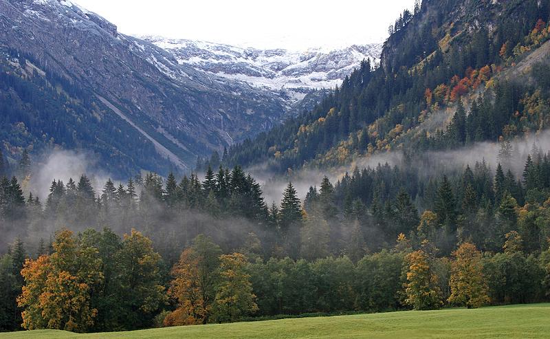 Kleinwalsertal 2007 - Viehscheid am 19.9.2007