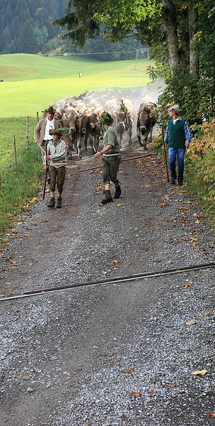 Kleinwalsertal 2007 - Viehscheid am 19.9.2007