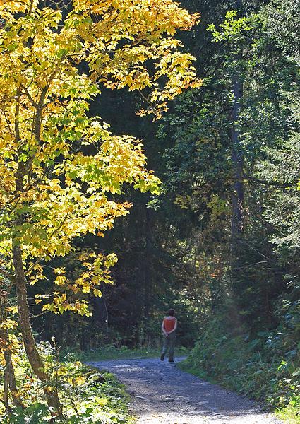 Kleinwalsertal - Rundwanderung Brgunttal - 22.9.2007