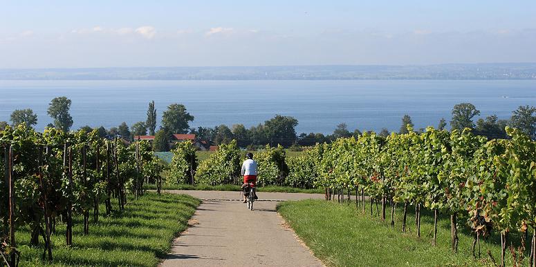 Fietsen aan de Bodensee