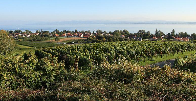 Fietsen aan de Bodensee