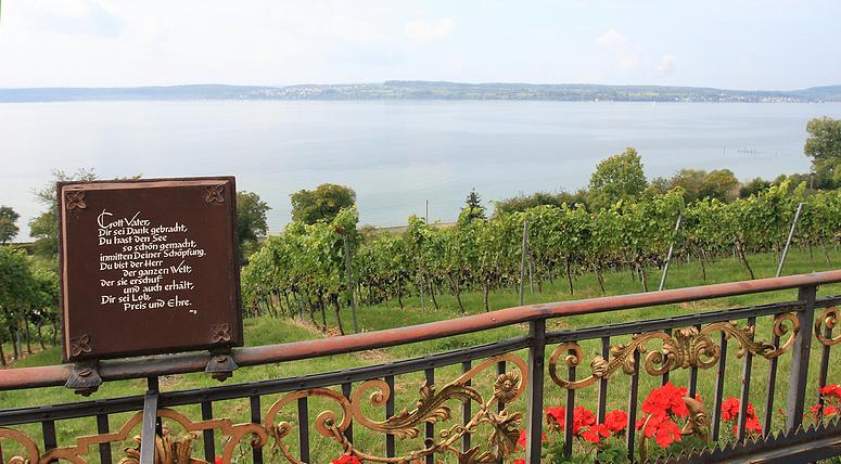 Fietsen aan de Bodensee