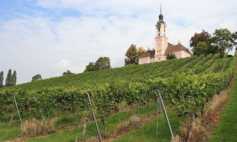 Fietsen aan de Bodensee