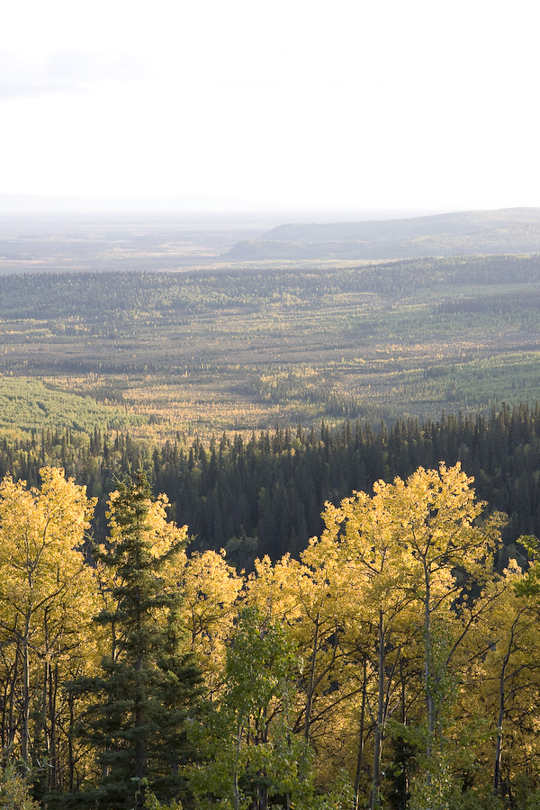 _MG_5584.jpg