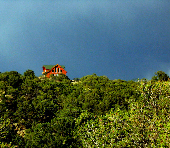 Buena Vista-174.jpg