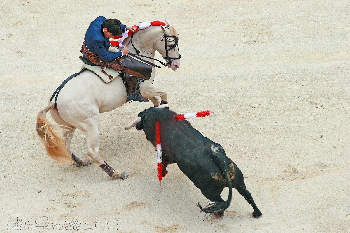The magic horse