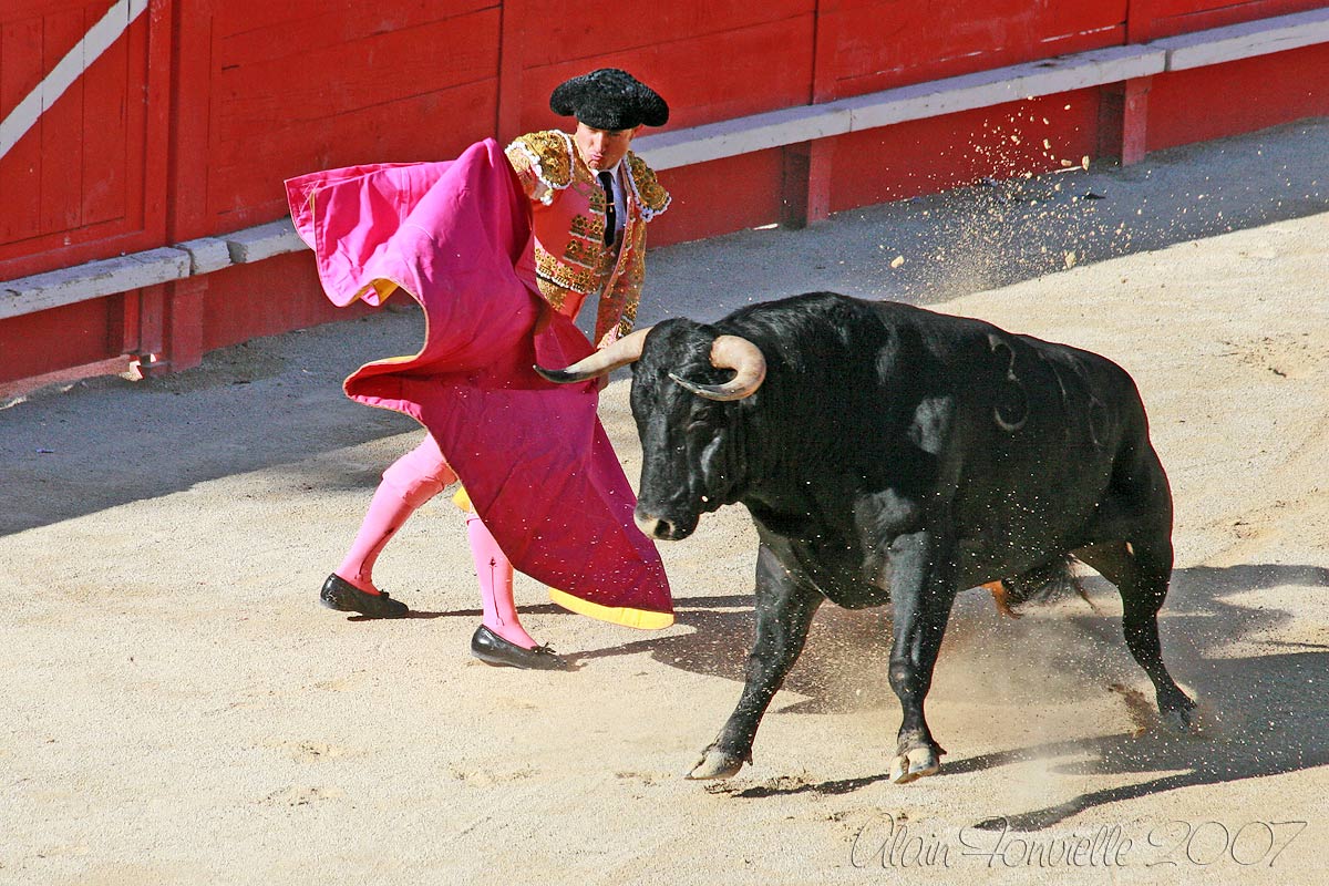Astifino