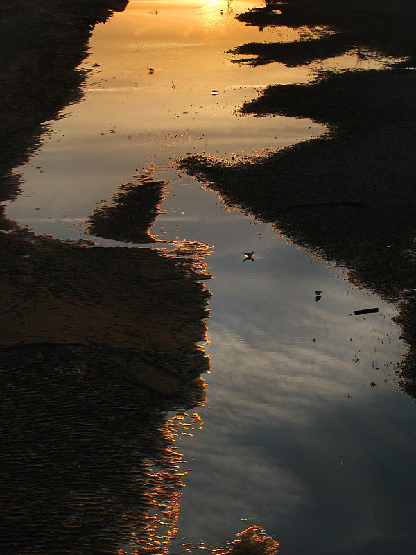 Loire miroir