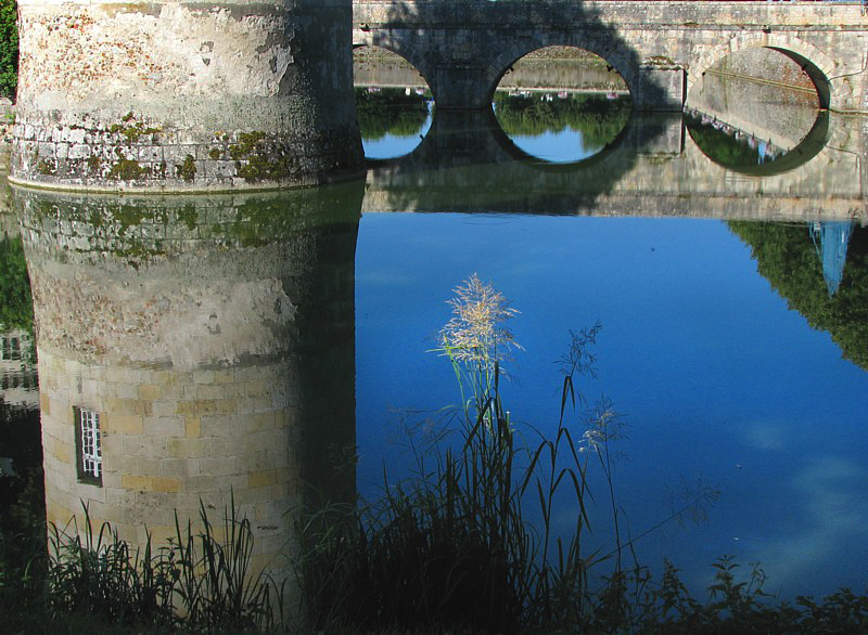 L'herbe et le pont