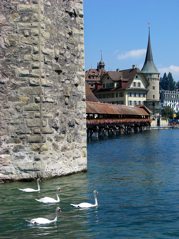 4 cygnes  Lucerne
