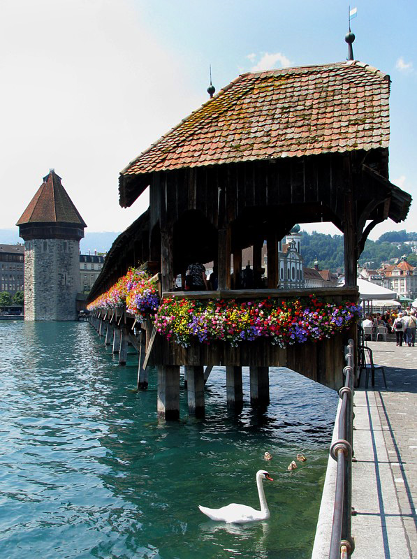 la tour le pont et le cygne