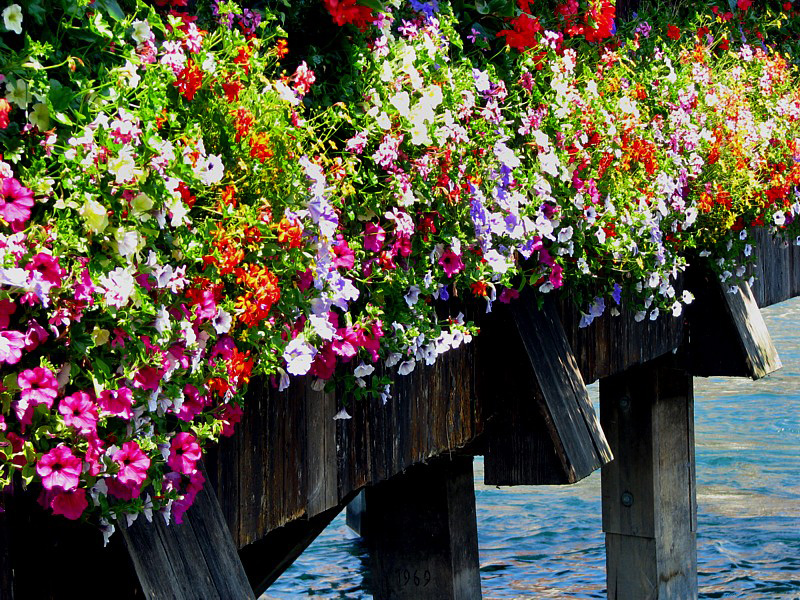 le pont fleury