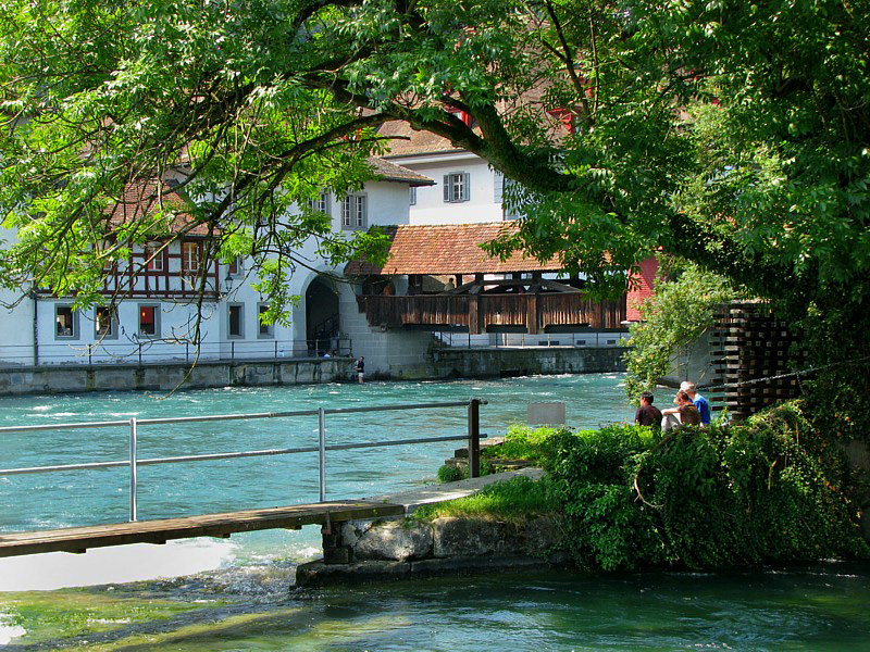 sous les arbres du vieux pont