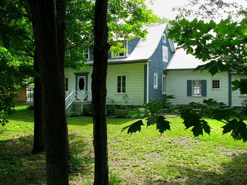 la maison sous les arbres