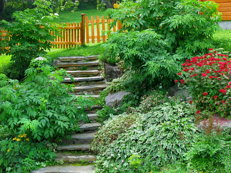 l'escalier de pierre