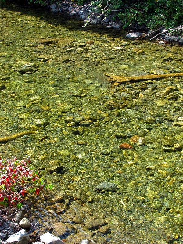 l'eau claire de l'affluent