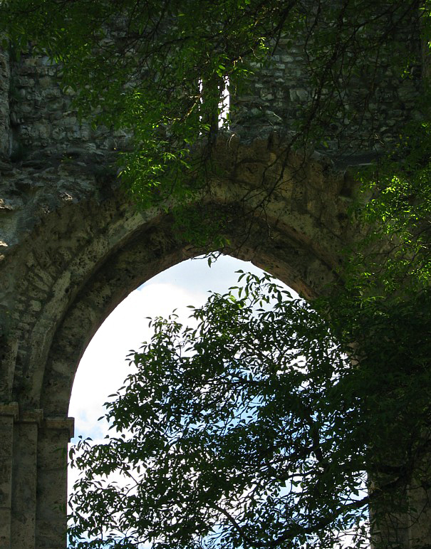 porte d'arbres