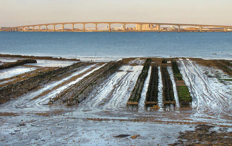huitres et pont de R