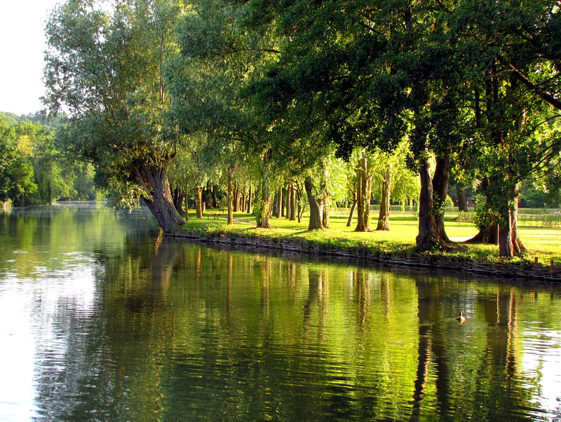 bord du Loir