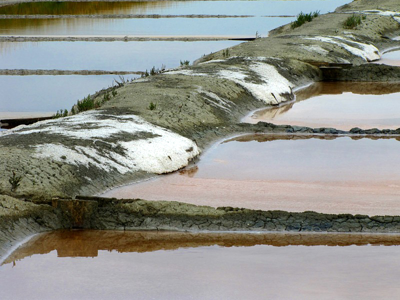 marais salants