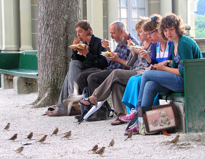 Waiting / En attente d'une miette ou deux