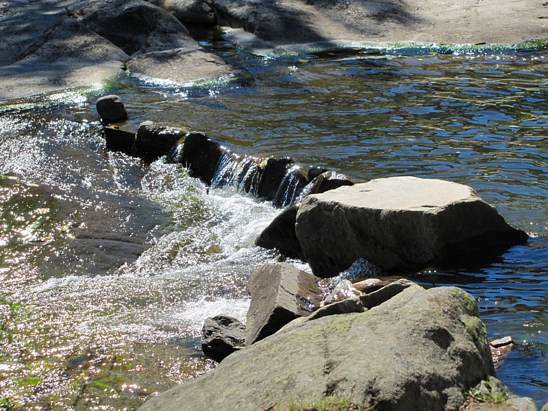 petit barrage dans la cascade