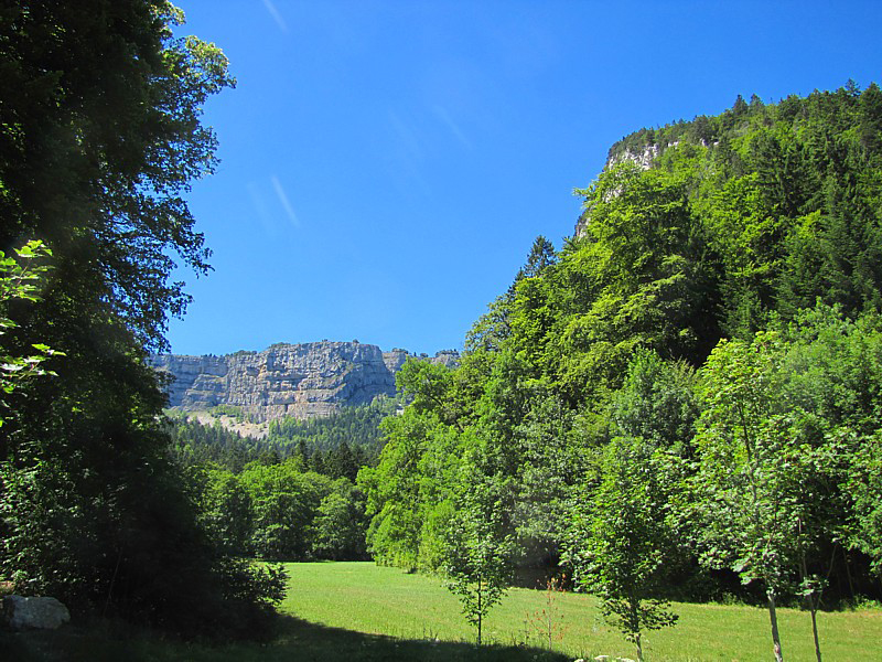 perdus dans la foret