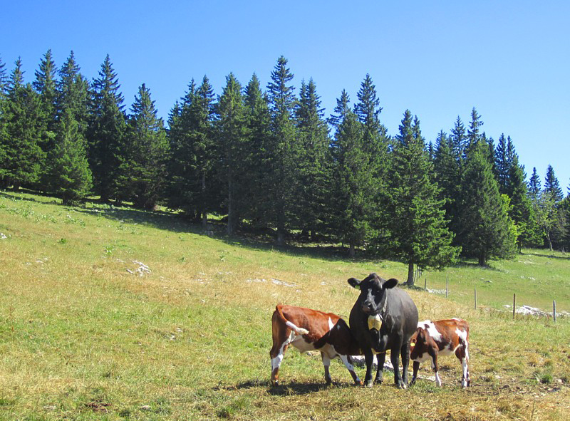 l'heure de boire