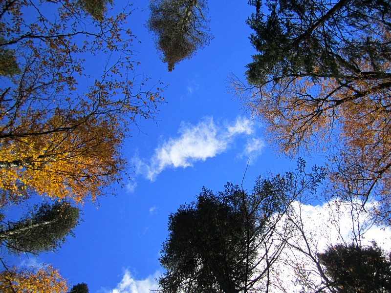 Le petit nuage blanc dans un ciel d'automne