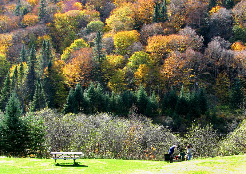Pique-nique d'automne, Valle de la Jacques Cartier
