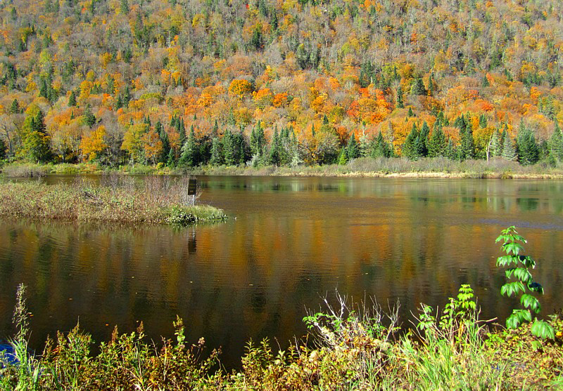 la montagne, l'automne, le reflet