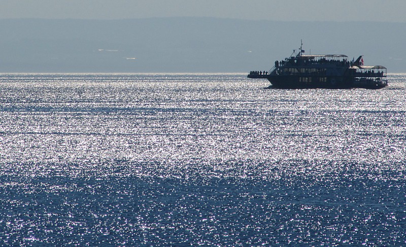 croisière aux baleines