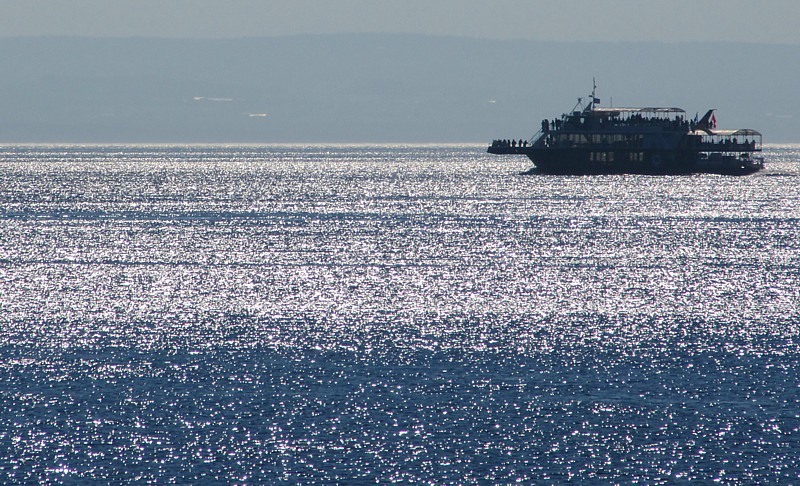 croisire aux baleines