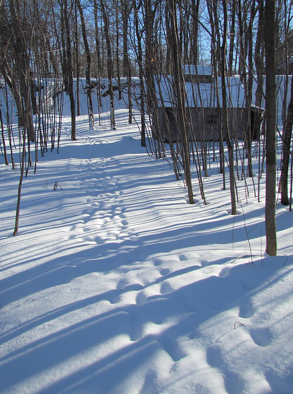 le chemin vers la cabane  sucre