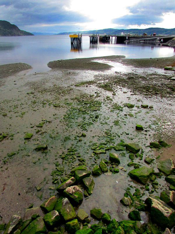 les pierres vertes du bord et la baie des Ha-Ha