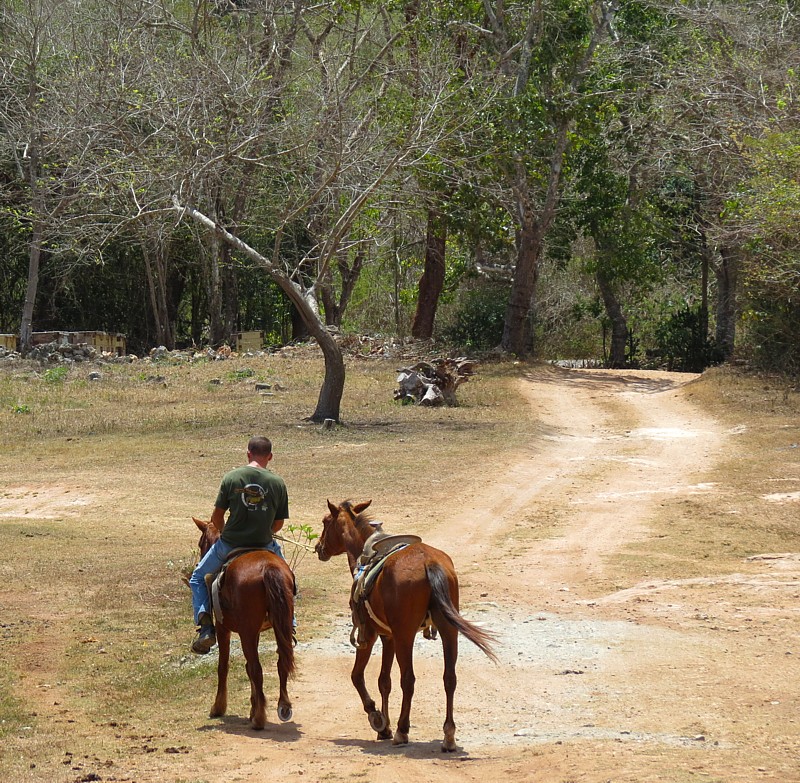 vie au ranch