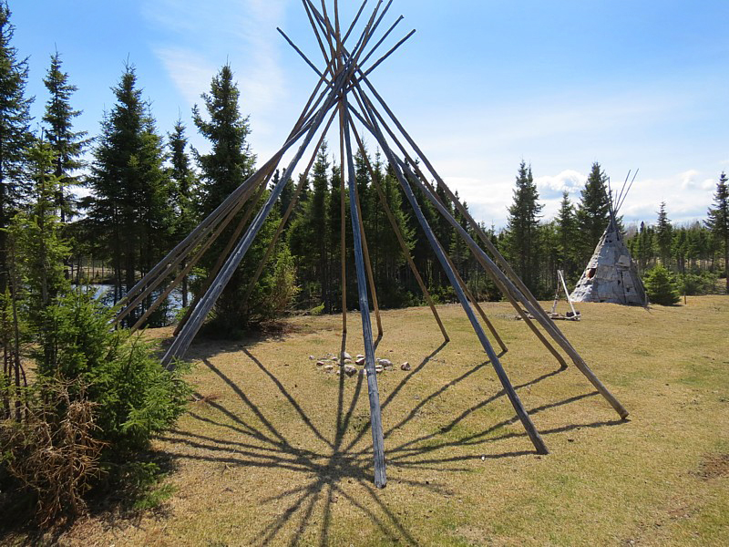 les teepees du zoo