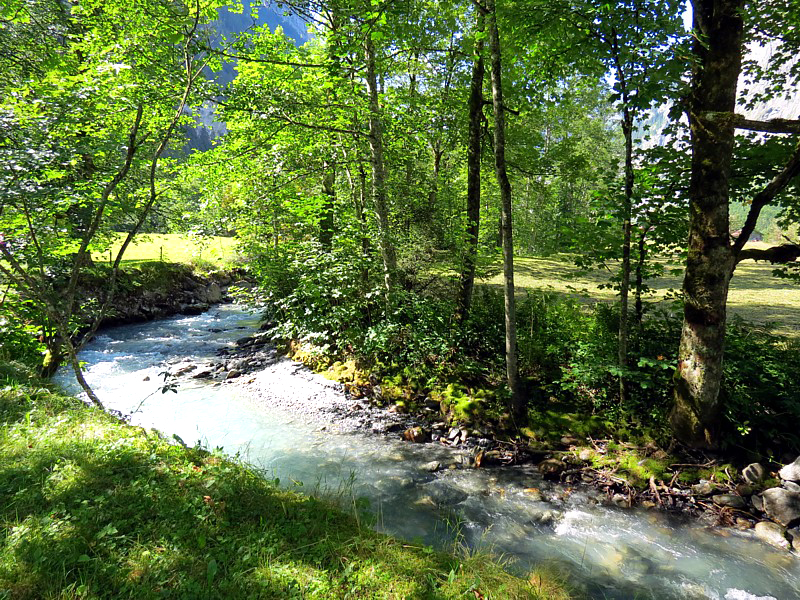le Trmmelbach devenu ruisseau