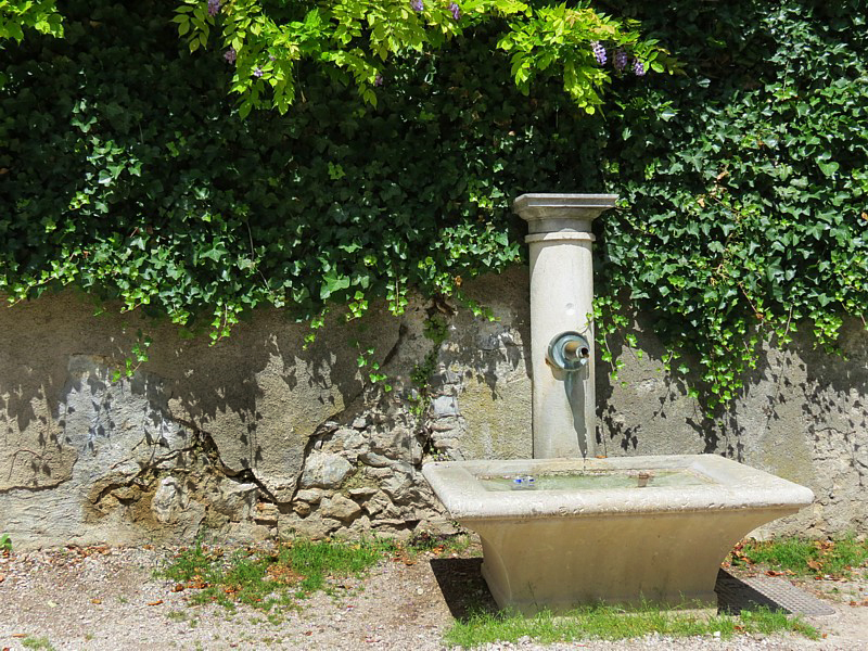 fontaine au mur lzard