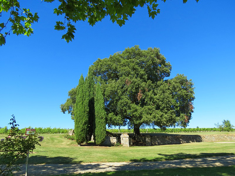 Parc du chteau