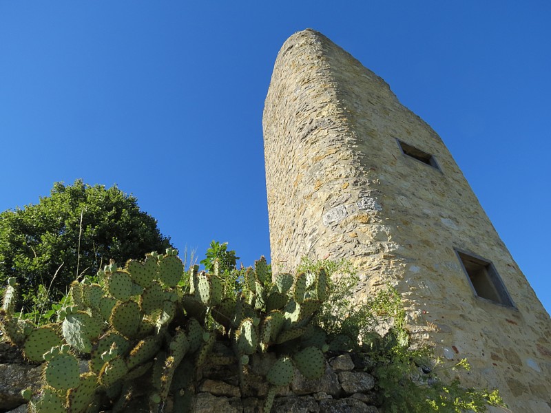 tour et cactus
