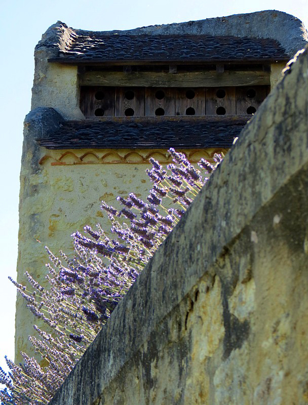 la tour et la lavande