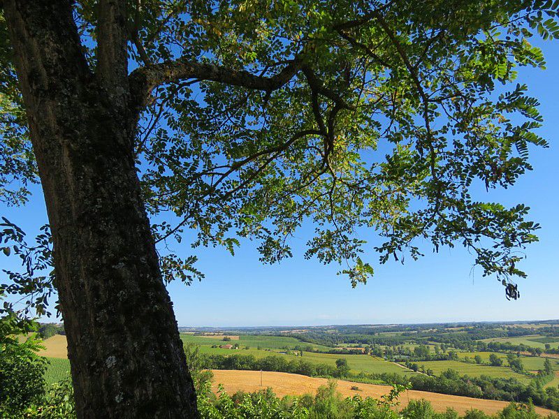 Paysage du Gers  Roques